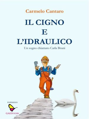 cover image of Il cigno e l'idraulico